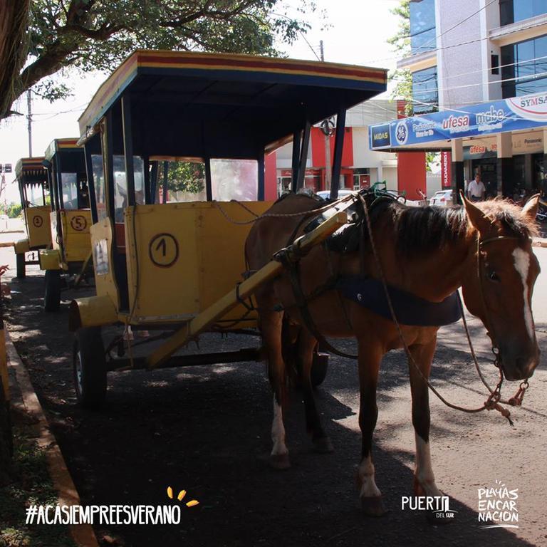 La Casa De Pedro Hostel เอนการ์นาซิออน ภายนอก รูปภาพ